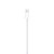 Cabo de Lightning para USB (2 m) - Imagem 2