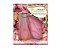 Kit Deo Colonia Buquet de Rosas 60ml e Sabonete 75g Aromatica - Imagem 2