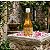 Deo Colonia Wild Musk Unissex Biocare 300ml Aromatica - Imagem 7