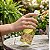 Deo Colonia Patchouli Unissex Biocare 300ml Aromatica - Imagem 4