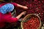 CAFÉ ORGÂNICO  ESPECIAL - LATA DE 250 G - Imagem 7