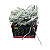 CASCATA 400 LEDS FIXO BRANCO FRIO 220V FIO BCO 10M - BRILLIANT - Imagem 1
