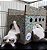 Cat Safe - Imagem 2