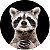 Capa Personalizada para Estepe Ecosport Crossfox Raccoon - Imagem 1