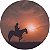 Capa Personalizada para Estepe Ecosport Crossfox Cowboy 6 - Imagem 1