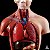 Modelo Anatômico Torso Humano Assexuado e Órgãos 26cm 15 Partes com Suporte Lorben - Imagem 10