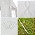 Tenda Gazebo Lorben Barraca Camping Praia Piscina Eventos 2,9m x 2,9m - Imagem 5