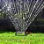 Irrigador Oscilante Lorben 1/2" 18 Furos Aspersor com Bico Engate Rápido Jardim Gramado Horta - Imagem 10