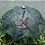 Covo Armadilha Lorben para Camarão Lambari 8 Bocas Guarda Chuva - Imagem 6