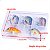 Kit com 5 Mini Iscas de Pesca Artificiais Crankbait Meia Água Material Acessório Pescaria - Imagem 3