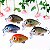 Kit com 5 Mini Iscas de Pesca Artificiais Crankbait Meia Água Material Acessório Pescaria - Imagem 1