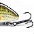 Kit com 5 Mini Iscas de Pesca Artificiais Crankbait Meia Água Material Acessório Pescaria - Imagem 7