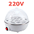 Cozedor Aquecedor Portátil para até 7 Ovos Elétrico 220V Prático Cozinha - Imagem 2
