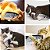 Peixe Elétrico Recarregável Interativo para Gatos USB - Imagem 8