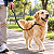 Guia Unificada para Cachorro com Trava Anti-Fuga – Corda de Nylon Resistente, Ajustável e Confortável – 140 cm - Imagem 5