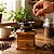 Mini Moedor Manual de Café Pimenta em Madeira com Reservatório - Imagem 2