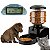 Comedouro Eletrônico Automático Lorben Alimentador Digital Programável Pet Cães Gatos - Imagem 1