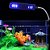 Luminária Clip para Aquário Lorben com 48 Led Luz Branco Azul Bivolt Haste Flexível - Imagem 2