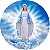Capa de Estepe Personalizada para Ecosport Crossfox Religioso Nossa Senhora das Graças - Imagem 1