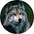 Capa de Estepe Personalizada para Ecosport Crossfox Aircross Lobo - Imagem 1