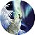 Capa Personalizada para Estepe Ecosport Crossfox Aircross Lobo na Neve - Imagem 1