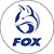 Capa para Estepe Pneu Personalizada Especial Crossfox Fox 4 - Imagem 1