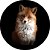 Capa para Estepe Pneu Personalizada Especial Crossfox Fox Raposa 3 - Imagem 1