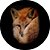 Capa para Estepe Pneu Personalizada Especial Crossfox Fox Raposa 8 - Imagem 1