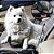 Cinto de Segurança para Pet Lorben Adaptador para Carro Universal Ajustável Cães Gatos - Imagem 2