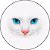 Capa Personalizada para Estepe Ecosport Crossfox Felino Gato Branco - Imagem 1