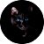 Capa Personalizada para Estepe Ecosport Crossfox Felino Gato Preto Olhos Azuis - Imagem 1
