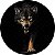 Capa Personalizada para Estepe Ecosport Crossfox Aircross Lobo - Imagem 1