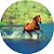 Capa Personalizada para Estepe Ecosport Crossfox Aircross Cavalo - Imagem 1