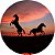 Capa de Estepe Personalizada para Ecosport Crossfox Aircross Jimny Cavalos - Imagem 1