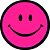 Capa Personalizada para Estepe Ecosport Crossfox Smile - Imagem 1