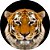 Capa Personalizada para Estepe Ecosport Crossfox Tigre - Imagem 1