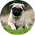 Capa Personalizada para Estepe Ecosport Crossfox Pug - Imagem 1
