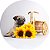 Capa Personalizada para Estepe Ecosport Crossfox Pug - Imagem 1