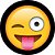 Capa Personalizada para Estepe Ecosport Crossfox Emoji - Imagem 1