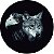 Capa Personalizada para Estepe Ecosport Crossfox Estampa Lobo e Águia PB - Imagem 1