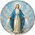 Capa de Estepe Personalizada para Ecosport Crossfox Religioso Nossa Senhora das Graças - Imagem 4