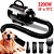 Soprador Secador Profissional Lorben Pet Shop 3200W - Imagem 1