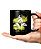 Caneca Personalizada | Cassiopeia - League of Legends | Porcelana 325ml - Imagem 5