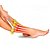 Massageador Para Perna  Multi Esferas 360 Ortho Pauher - Imagem 4