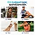 Massageador Manual Duo Press - Imagem 5