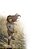 MONSTRESS - DESPERTAR - Imagem 4