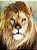 Leão de Judá - Imagem 1