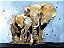Elefantes - Mãe com Filhote - Imagem 1