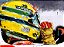 Ayrton Senna - Tricampeão Mundial 1991 - Edição Limitada - Imagem 2