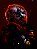 Max Verstappen - Orange Lion 2025 - Imagem 4